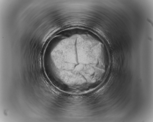 X0000101960782200808011107