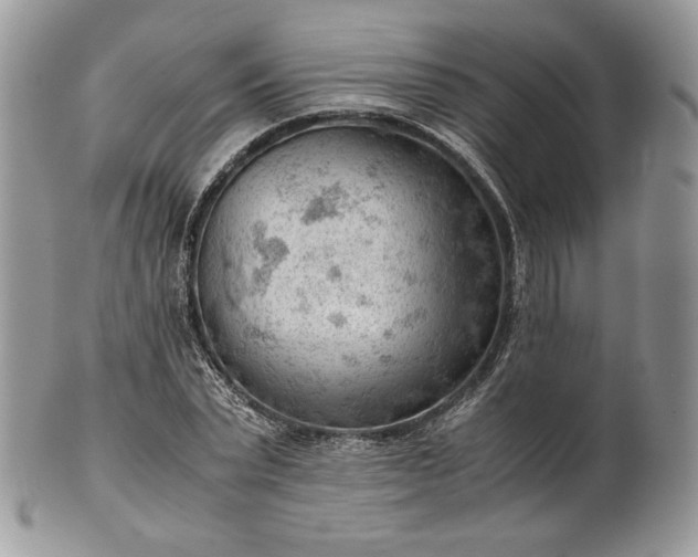 X0000101960783200808011107