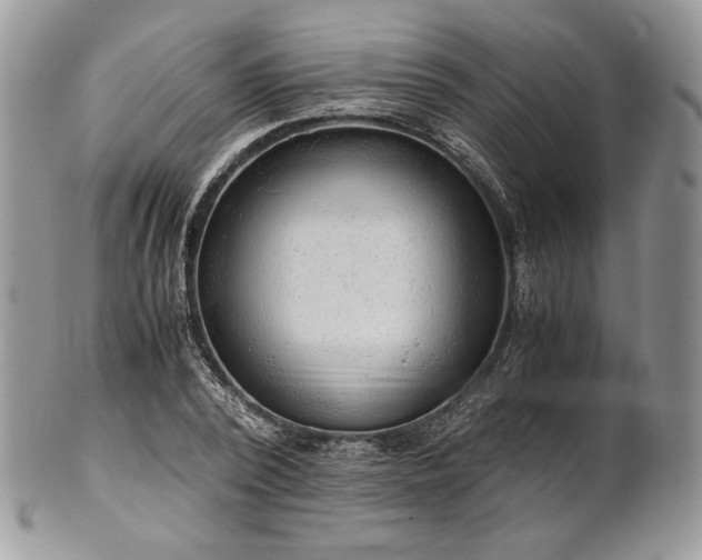 X0000101960784200808011107