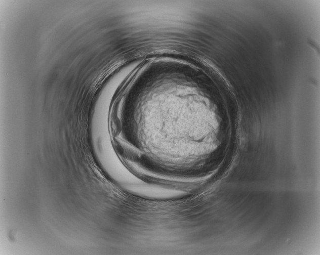 X0000101960785200808011107