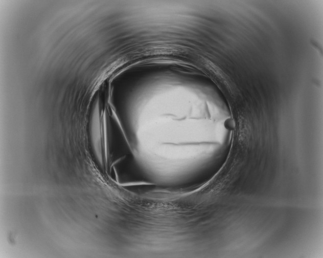 X0000101960786200808011107