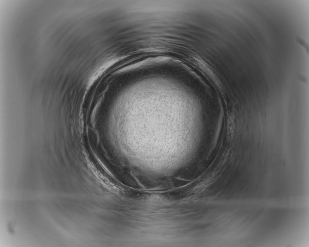 X0000101960787200808011107