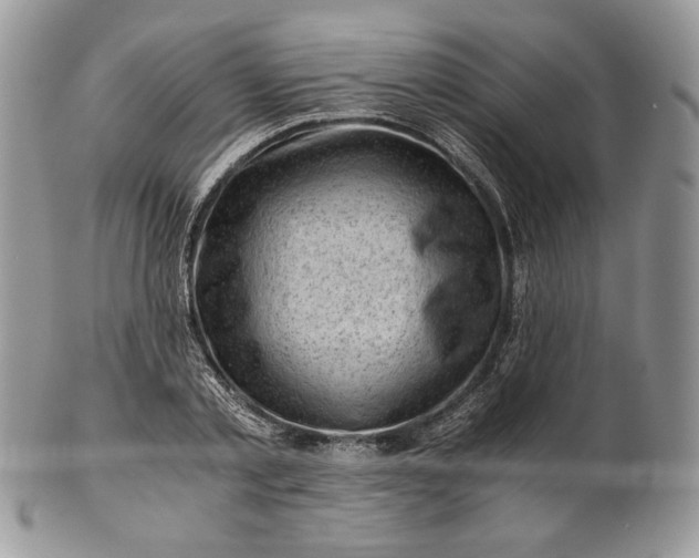 X0000101960789200808011107