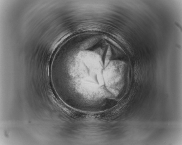 X0000101960790200808011107