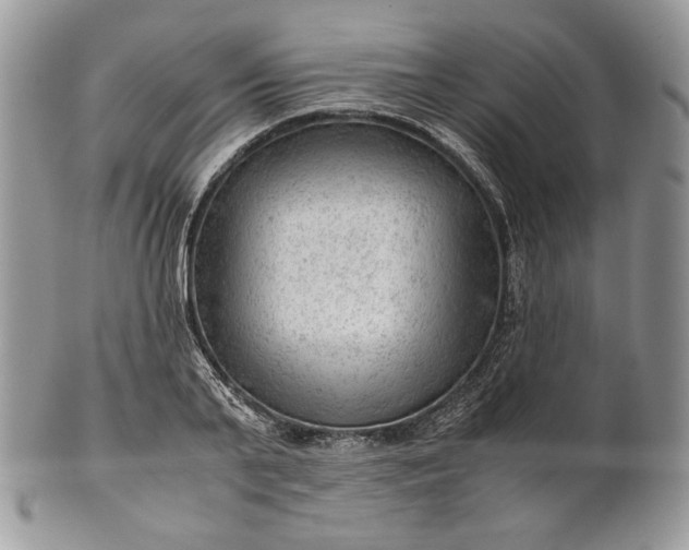 X0000101960791200808011107