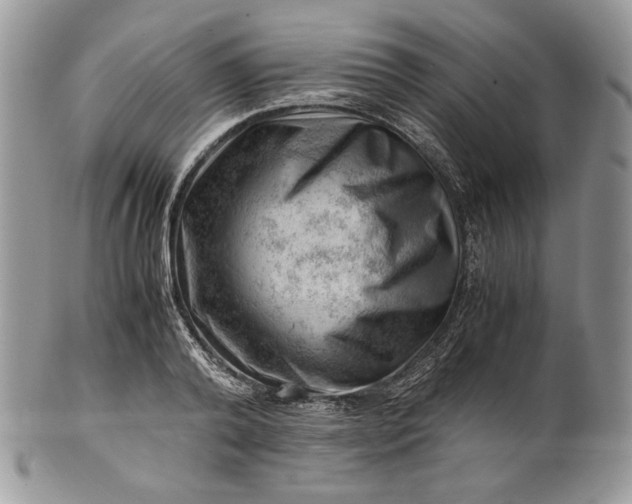 X0000101960792200808011107