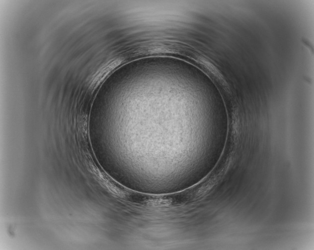 X0000101960793200808011106