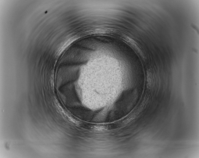 X0000101960794200808011106