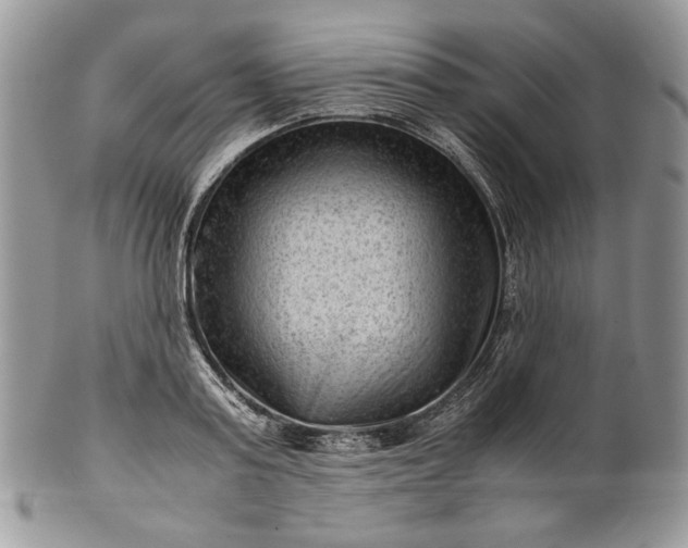 X0000101960795200808011106