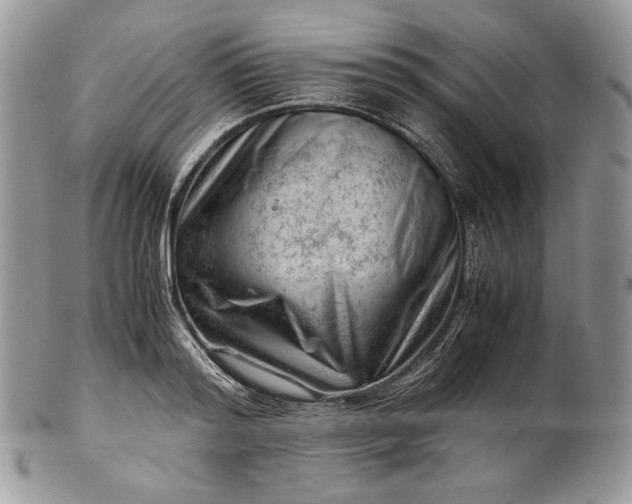 X0000101960796200808011106