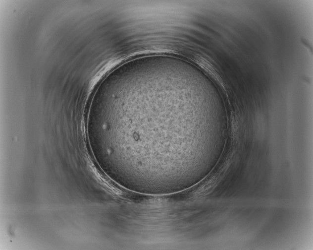 X0000101960797200808011106