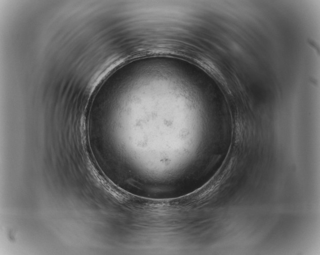 X0000101960798200808011106