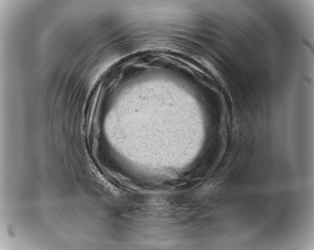 X0000101960799200808011106