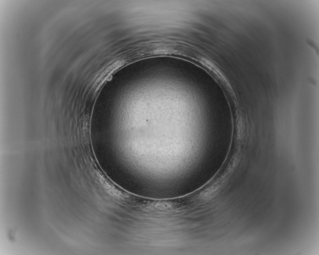 X0000101960801200808011106