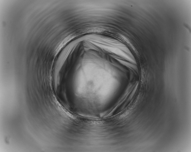 X0000101960802200808011106