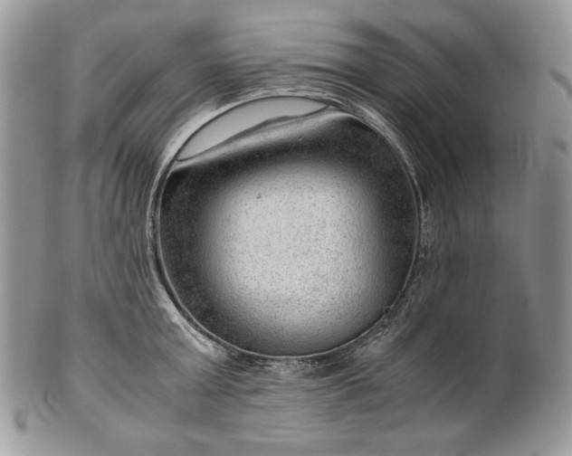 X0000101960803200808011106