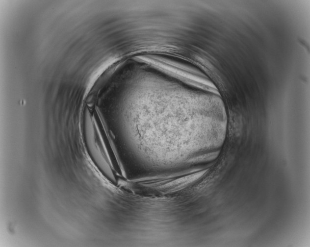 X0000101960804200808011106