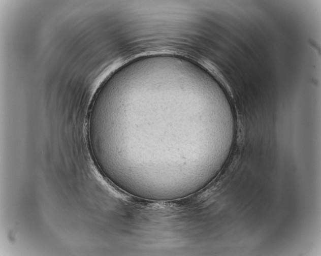 X0000101960805200808011106