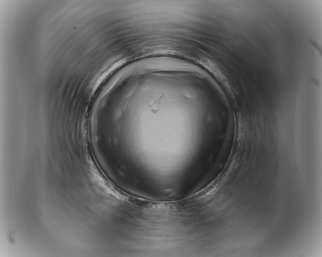 X0000101960806200808011106