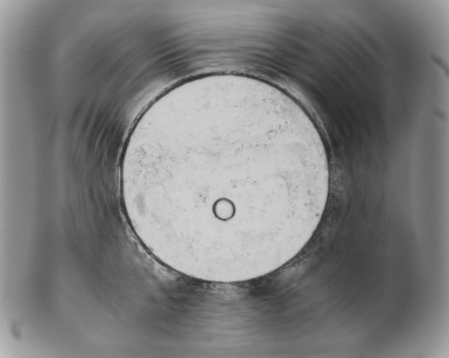 X0000101960807200808011106