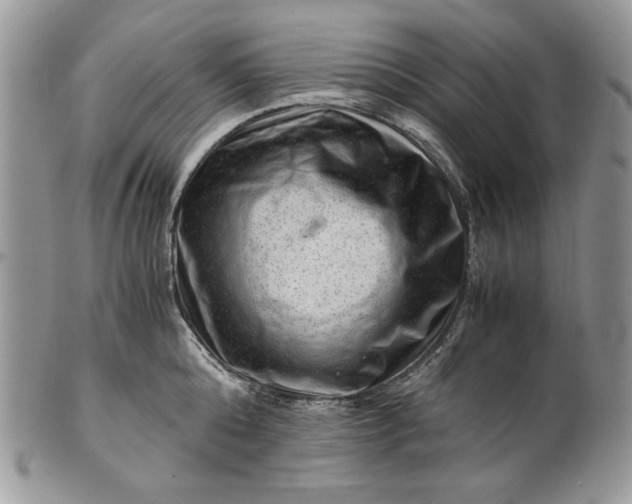 X0000101960808200808011106