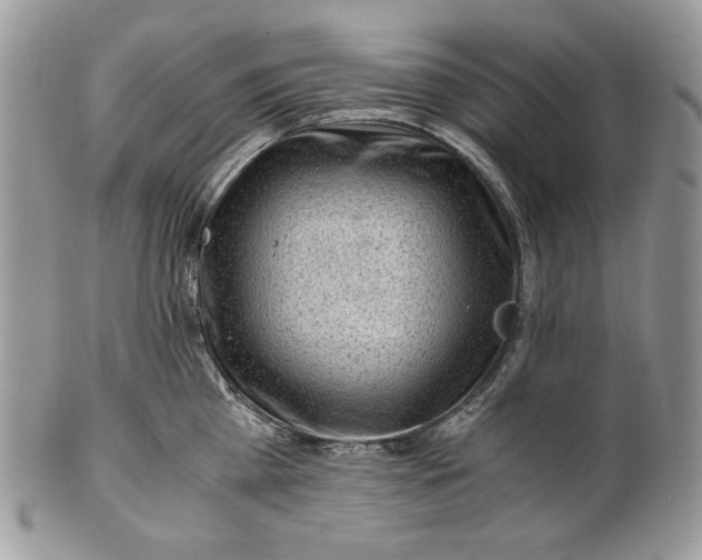 X0000101960809200808011106