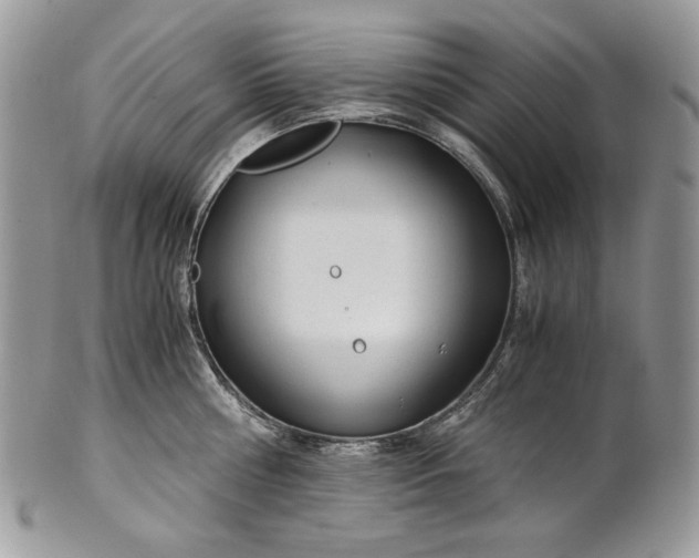 X0000101960810200808011106