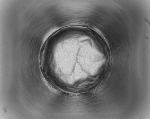 X0000101960811200808011106