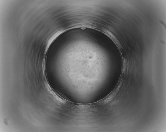 X0000101960812200808011106