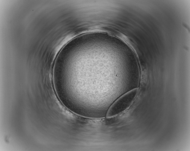 X0000101960813200808011106