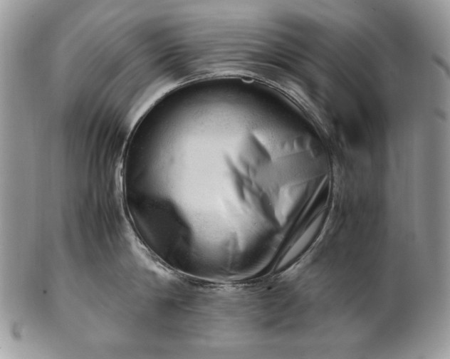 X0000101960814200808011106