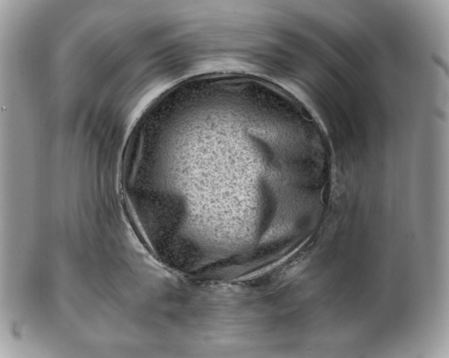 X0000101960815200808011106