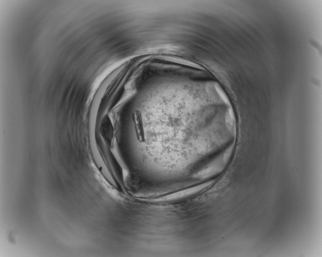 X0000101960816200808011106