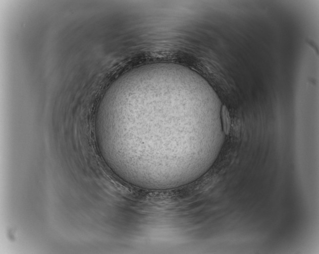 X0000101960817200808011105