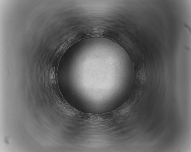 X0000101960818200808011105