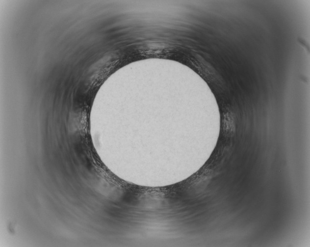 X0000101960820200808011105