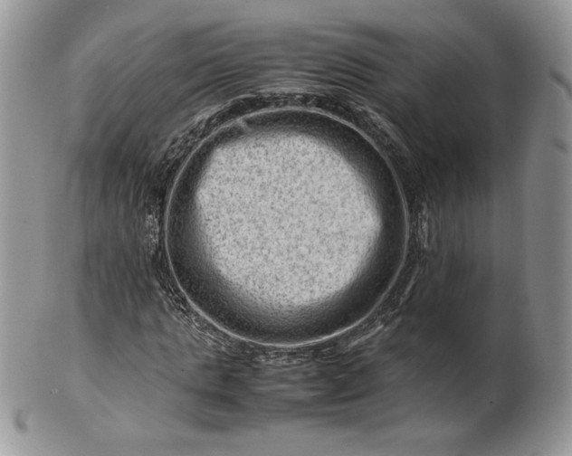 X0000101960821200808011105