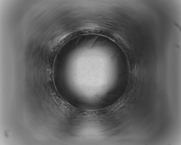 X0000101960822200808011105