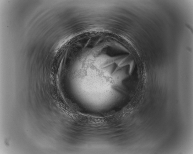 X0000101960823200808011105