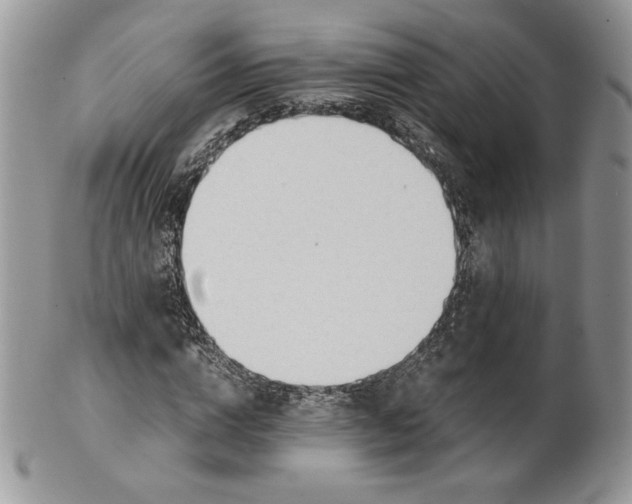 X0000101960824200808011105