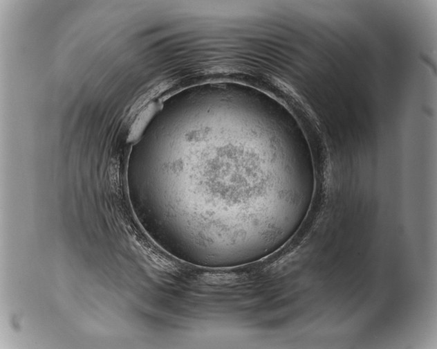 X0000101960825200808011105