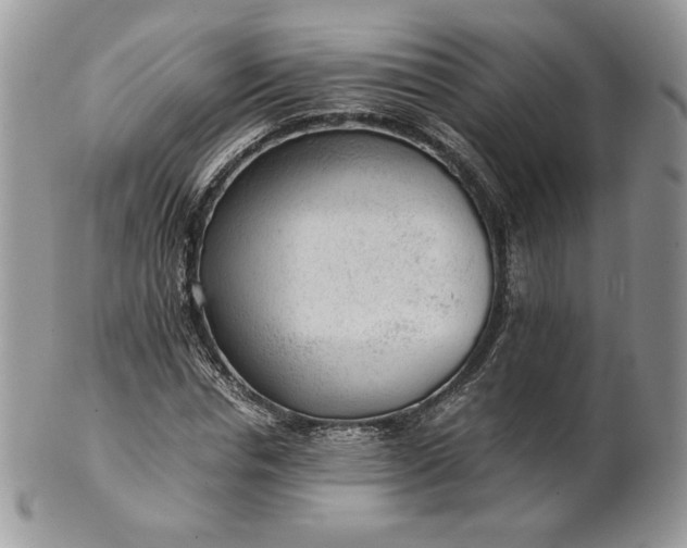 X0000101960826200808011105