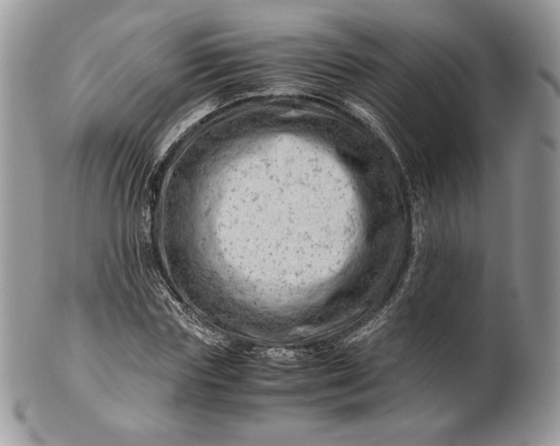 X0000101960827200808011105