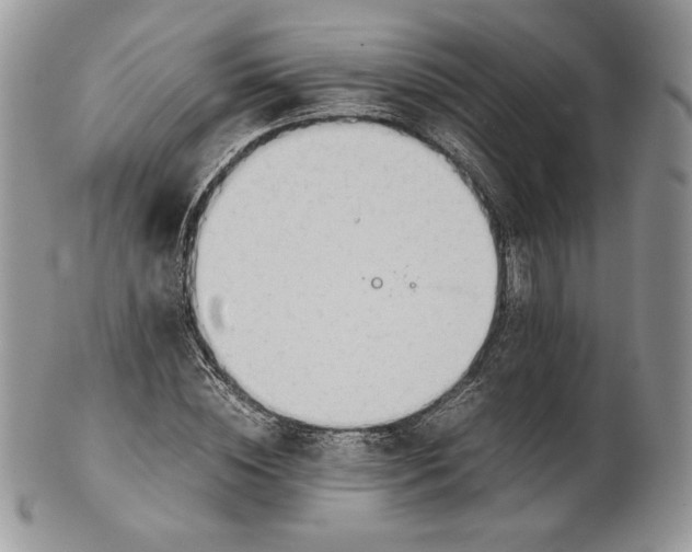 X0000101960828200808011105