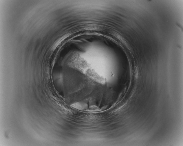 X0000101960829200808011105