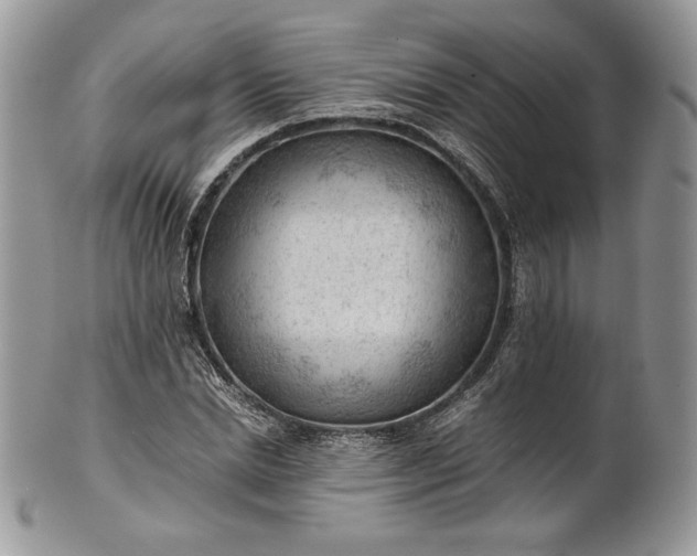 X0000101960830200808011106