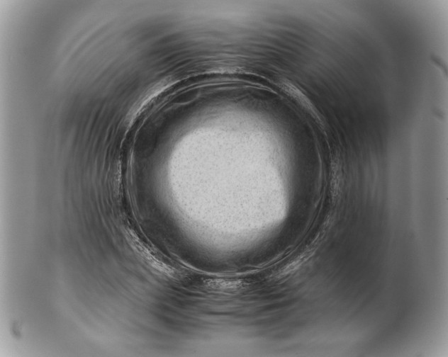 X0000101960831200808011106