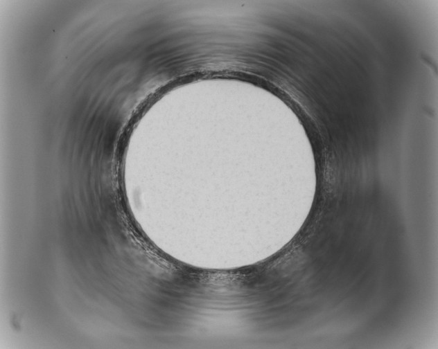 X0000101960832200808011106