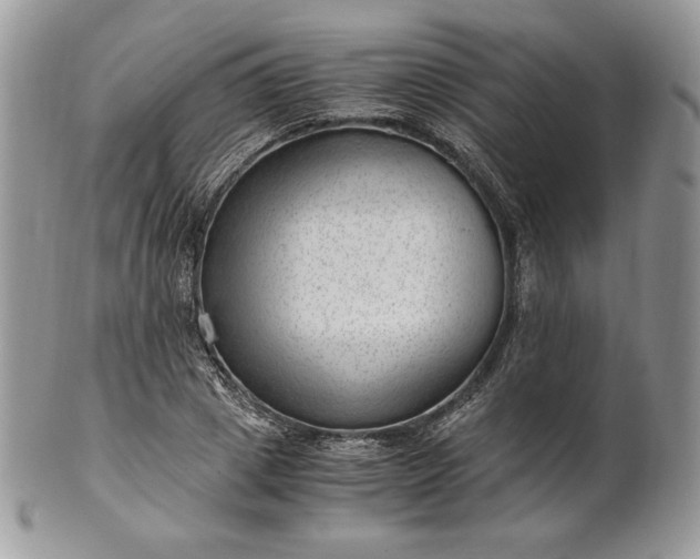 X0000101960833200808011106