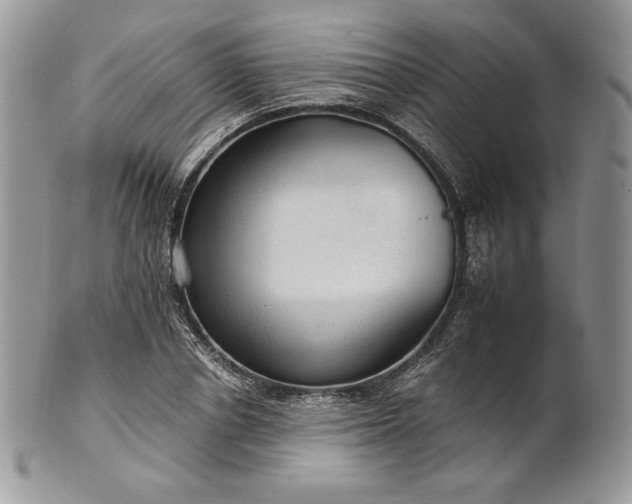 X0000101960834200808011106